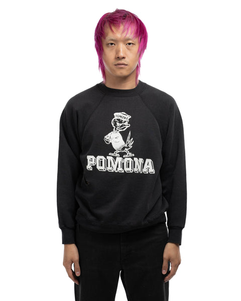 60's Pomona Sweatshirt - Medium