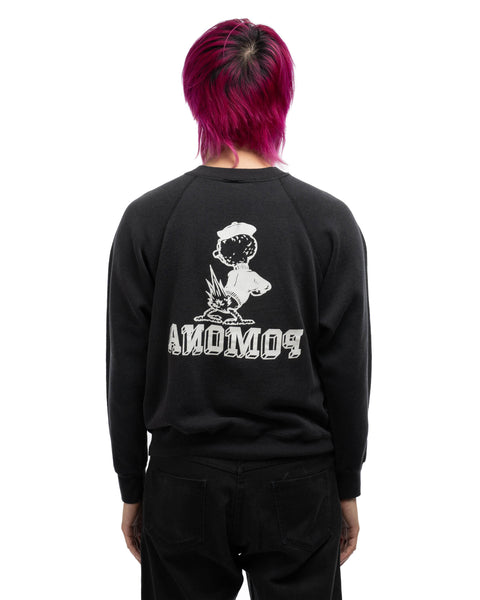 60's Pomona Sweatshirt - Medium