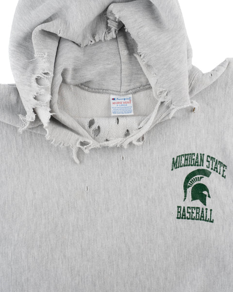 1990s Michigan Reverse Weave Hoodie