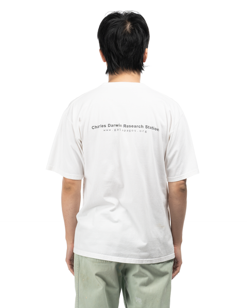 1990s Darwin Tortoise Tee