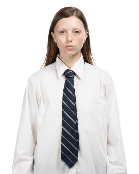 1970s Striped Neck Tie