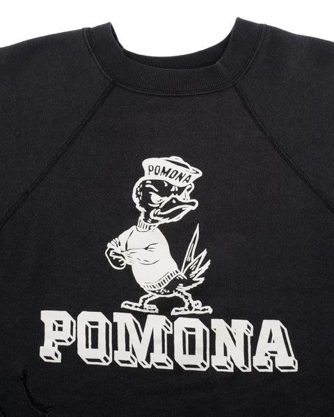 60's Pomona Sweatshirt - Medium