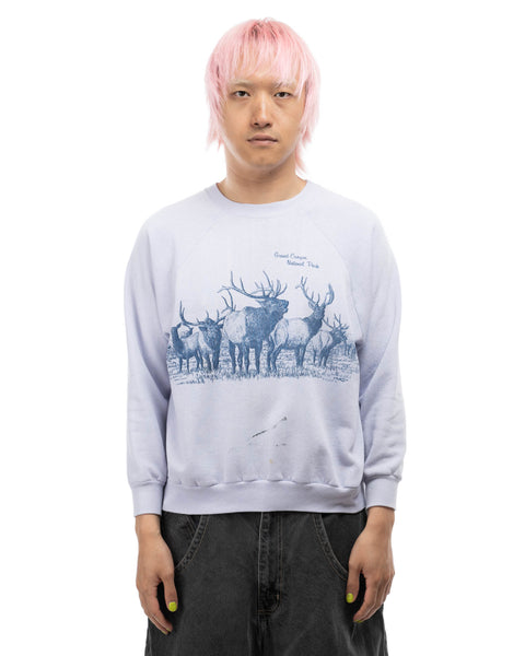 80's Grand Canyon Crewneck - Medium