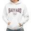 1970s Harvard Champion Hoodie