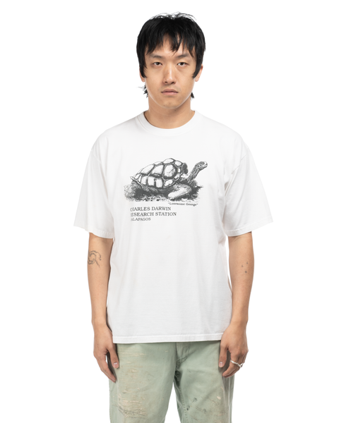 1990s Darwin Tortoise Tee