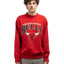 90's Chicago Bulls Crewneck - Large