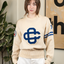 1960s Sand Knit Collegiate Sweater