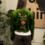1940s Nudelman Shriners Coat