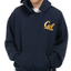 1990s Russell UC Berkeley Hoodie