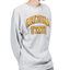 1990s ASU Champion Reverse Weave