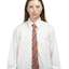 1950s Striped Neck Tie