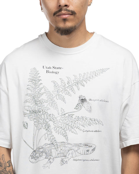 90s Scientific Illustration Tee - XL