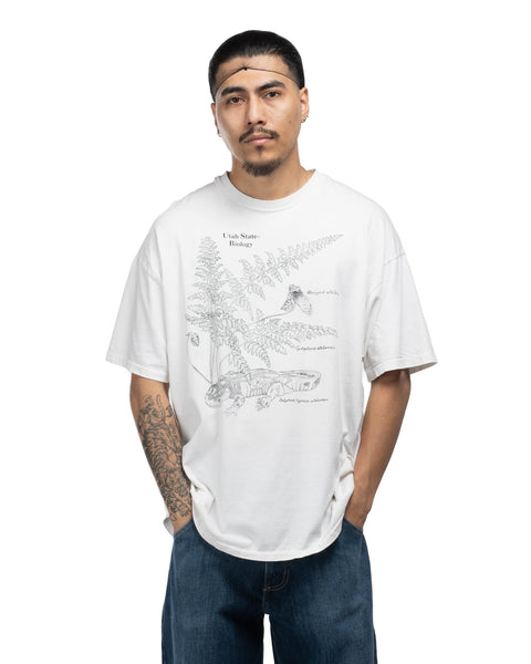 90s Scientific Illustration Tee - XL