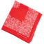 80’s Bandana - OS