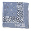 70’s Color Fast Bandana - OS