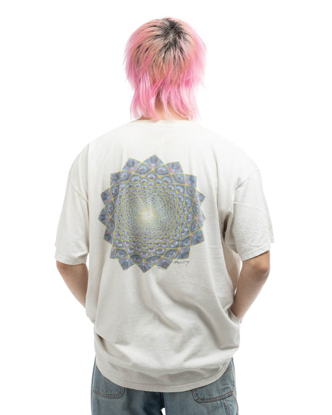 Y2K Thrashed Tool Lateralus Band Tee - XXL