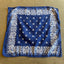 70's Bandana - Small