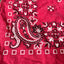80's Bandana - OS