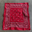 80's Bandana - OS
