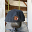 80’s OSU Hat - 6 7/8”