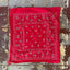 60’s Fast Color Bandana - OS