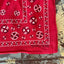 60’s Fast Color Bandana - OS
