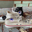 90's Mismatched USA Converse - M's 7.5 W's 9