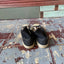 70’s Sears Jeepers Creepers Shoes - M’s 9.5 W's 11
