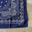 50's Fast Color Bandana - OS
