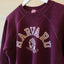 70's Harvard Champion Blue Bar Sweatshirt - Small