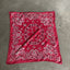 60's Trunk up Bandana - OS