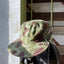 50’s Camouflage Hat - Small