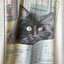 90’s Cat Tee - Large