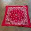 80's Red Bandana - OS