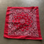 80's Bandana - OS