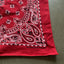 80's Bandana - OS