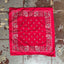 70’s Bandana - OS