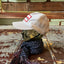 80’s Wild Trucker Hat - OS