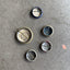 20's 5 Pin Bundle - OS