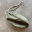 40's Utility Bag - Small